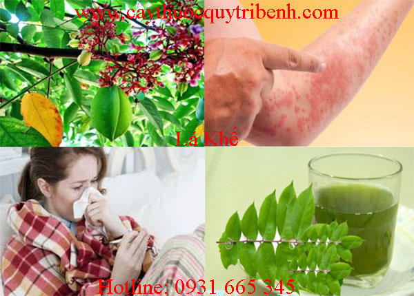 mua-ban-la-khe-tai-tp-hcm-uy-tin-nhat