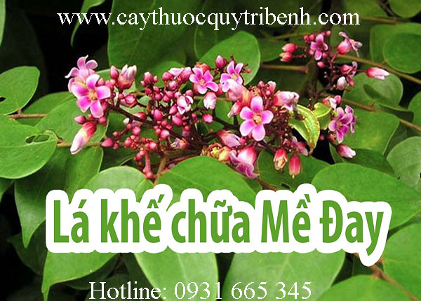mua-ban-la-khe-tai-tp-hcm-uy-tin