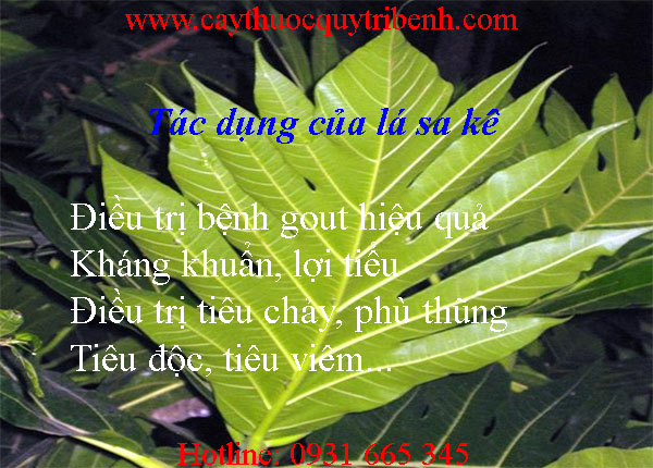 mua-ban-la-sa-ke-o-dau-tai-tp-hcm