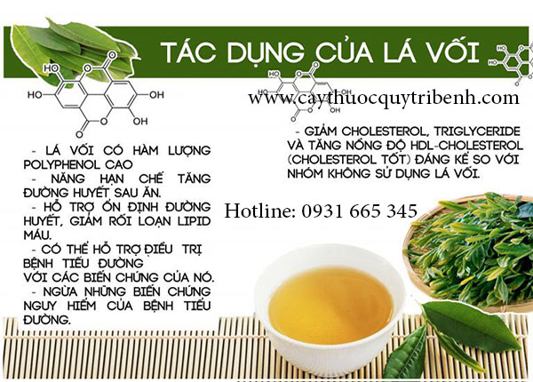 nụ vối lá vối
