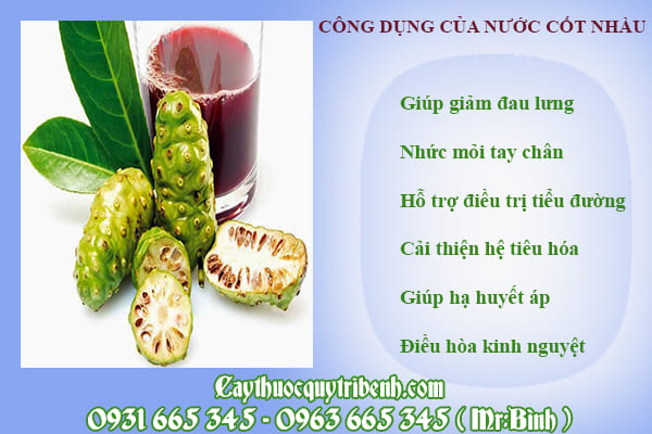 nước cốt nhàu