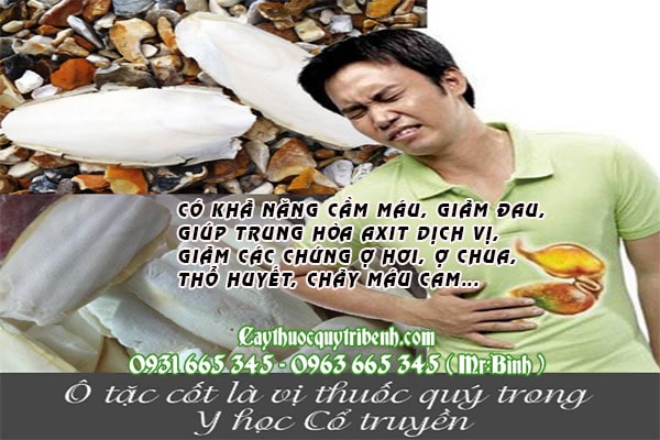 ô tặc cốt (mai mực)