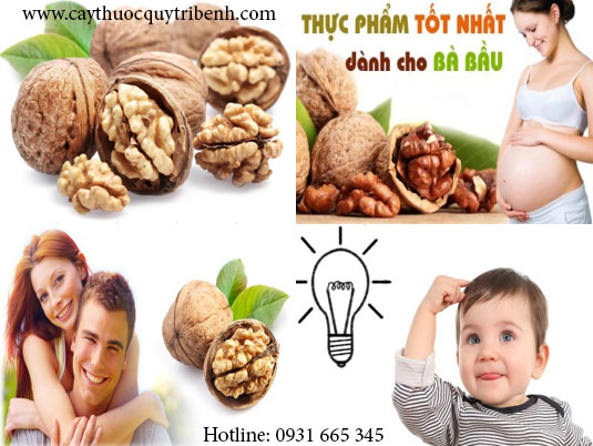 quả óc chó