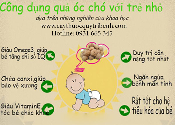 quả óc chó