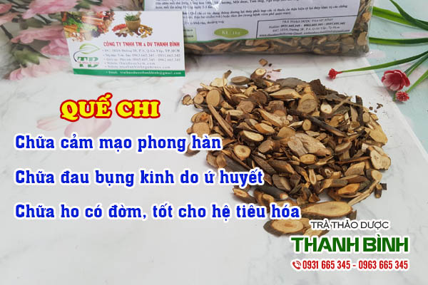 Quế chi Thảo dược Thanh Bình