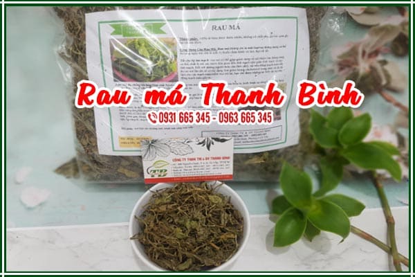 rau má thảo dược thanh bình