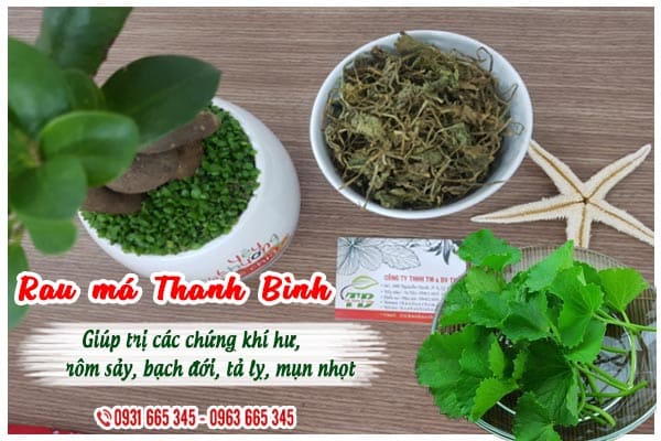 rau má thảo dược thanh bình
