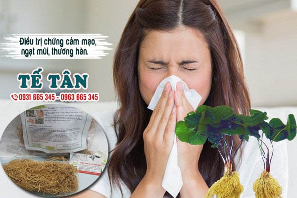 tế tân thảo dược thanh bình