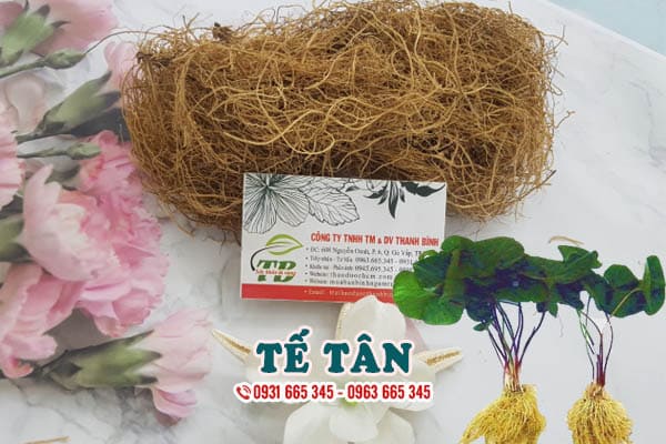 tế tân thảo dược thanh bình