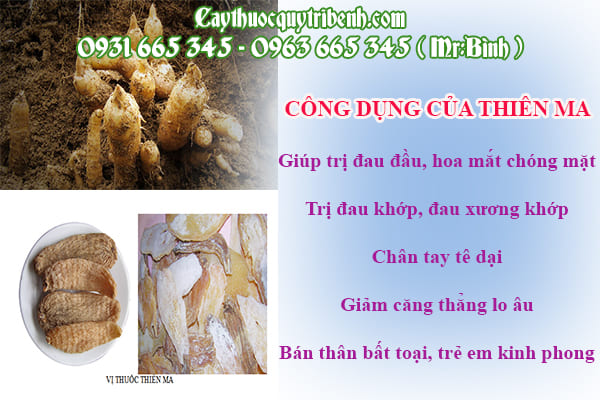 Thiên ma