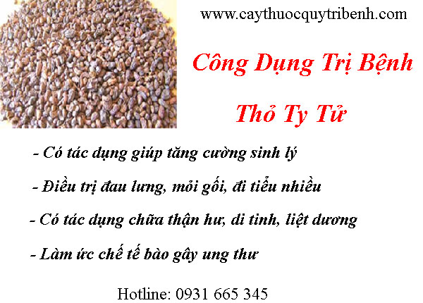 mua-ban-tho-ty-tu-o-dau-tai-tp-hcm-uy-tin-nhat