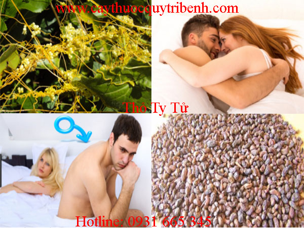 mua-ban-tho-ty-tu-o-dau-tai-tp-hcm