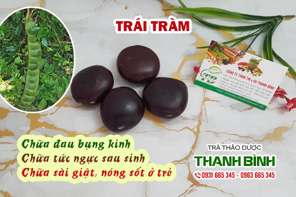 Trái tràm Thảo dược Thanh Bình
