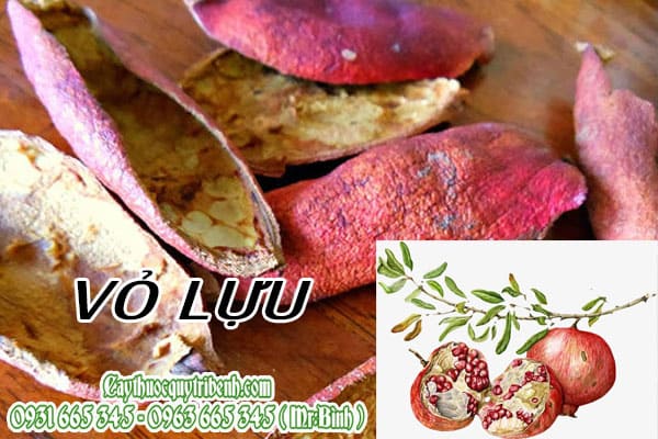 vỏ lựu thanh bình
