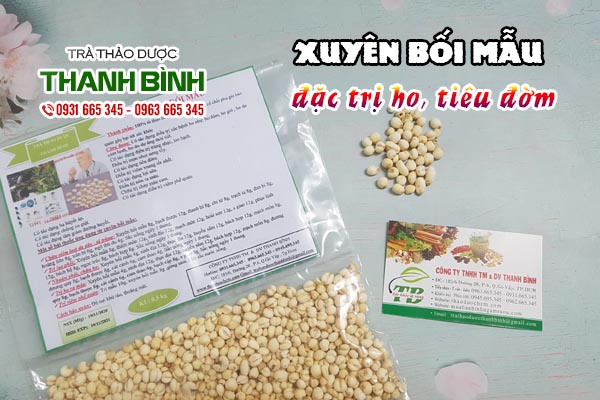 Xuyên bối mẫu Thảo dược Thanh Bình