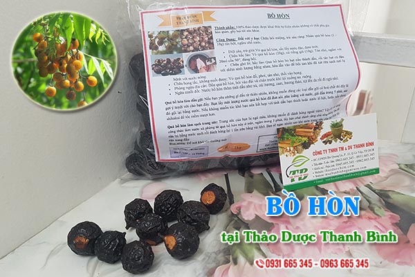 Bồ hòn Thảo Dược Thanh Bình