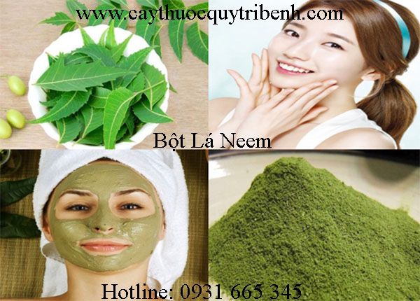 mua-bot-la-neem-o-dau-tai-tp-hcm-uy-tin-nhat