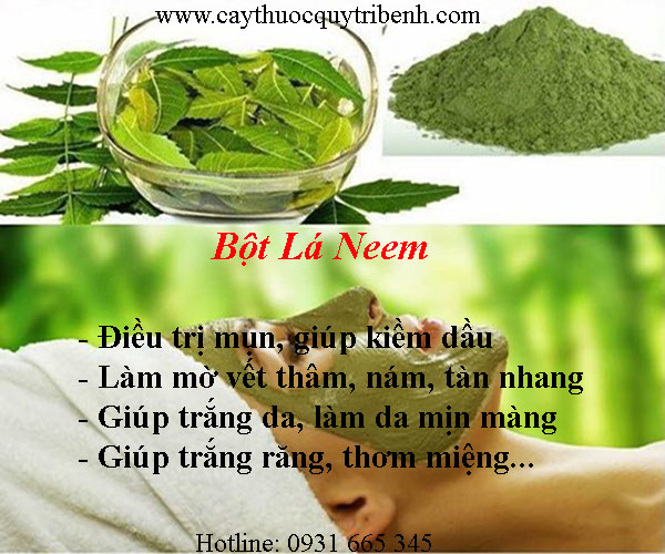 mua-bot-la-neem-o-dau-tai-tp-hcm-uy-tin