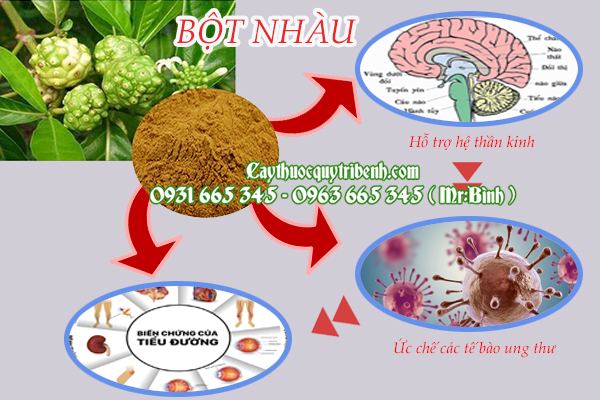 bột nhàu