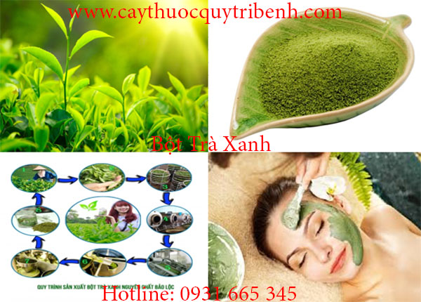 bột trà xanh