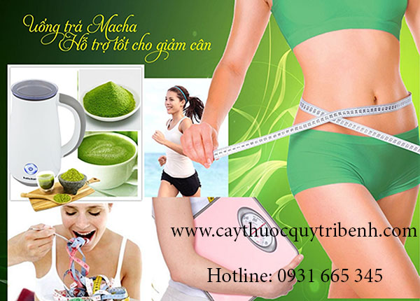 bột trà xanh