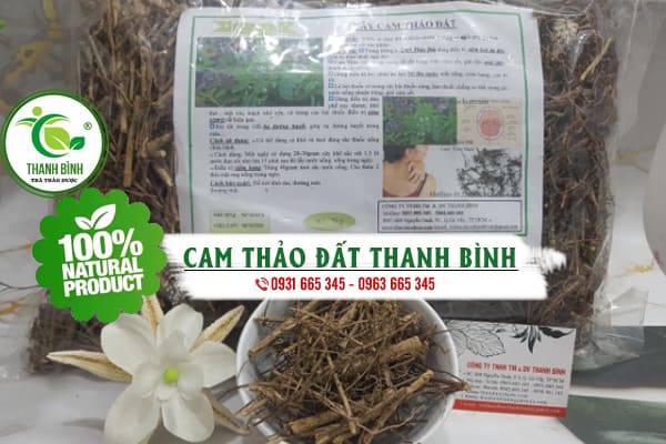 cam thảo đất thảo dược thanh bình