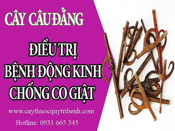 mua-cau-dang-o-dau-tai-tp-hcm-uy-tin