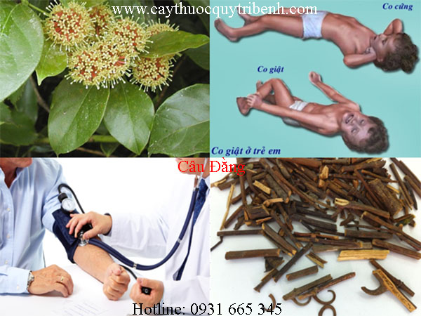 mua-cau-dang-o-dau-tai-tp-hcm