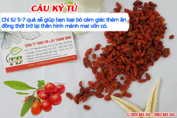 câu kỷ tử thảo dược thanh bình