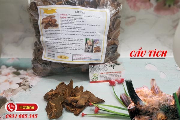 cẩu tích Thảo Dược Thanh Bình