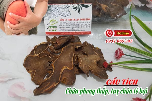 cẩu tích Thảo Dược Thanh Bình