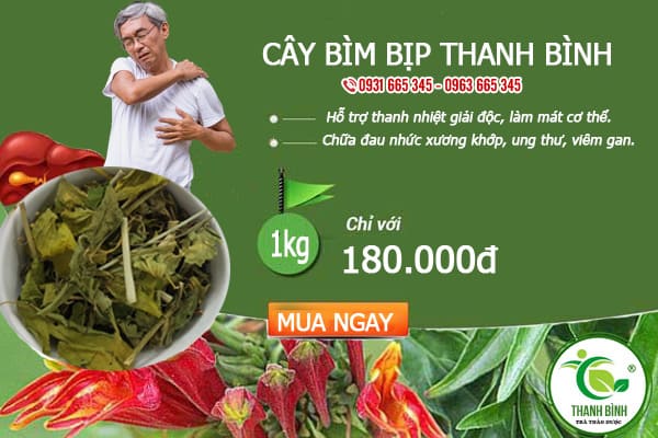 cây bìm bịp thảo dược thanh bình
