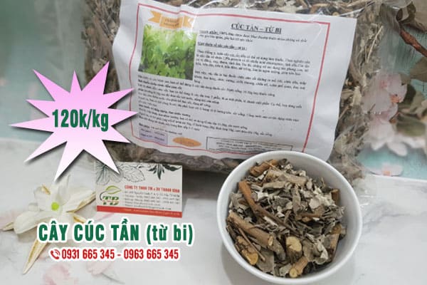 cây cúc tần (từ bi) Thảo Dược Thanh Bình