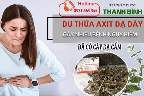 cây dạ cẩm Thảo Dược Thanh Bình