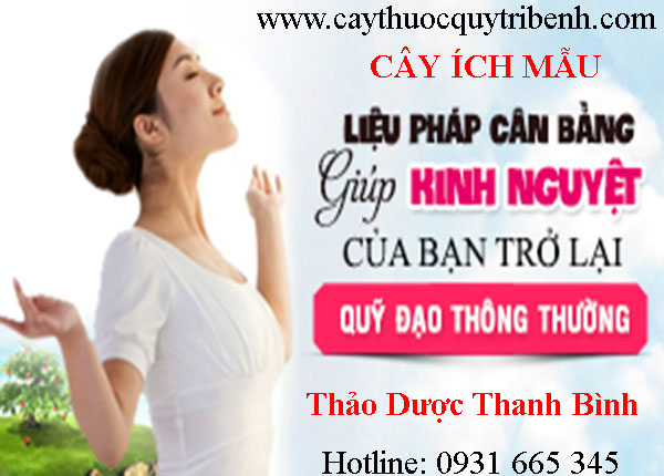 mua-cay-ich-mau-o-dau-tai-tp-hcm