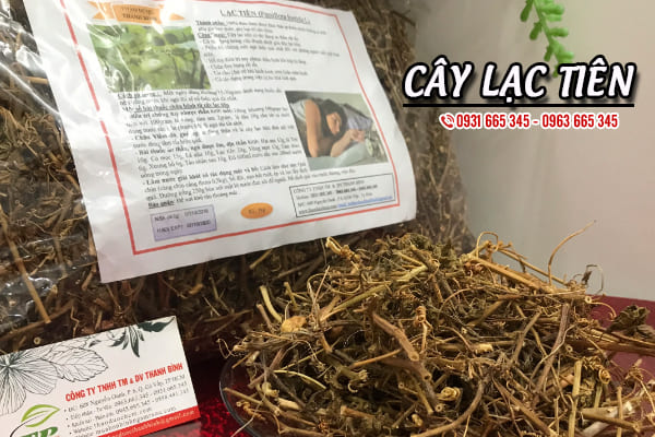 cây lạc tiên thảo dược thanh bình