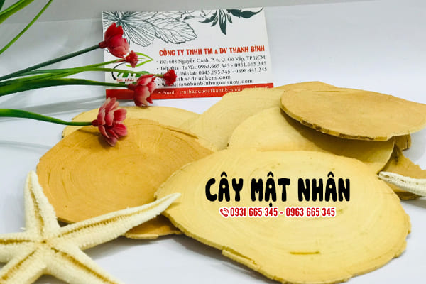 cây mật nhân thảo dược thanh bình