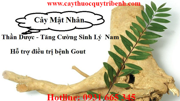 cây mật nhân