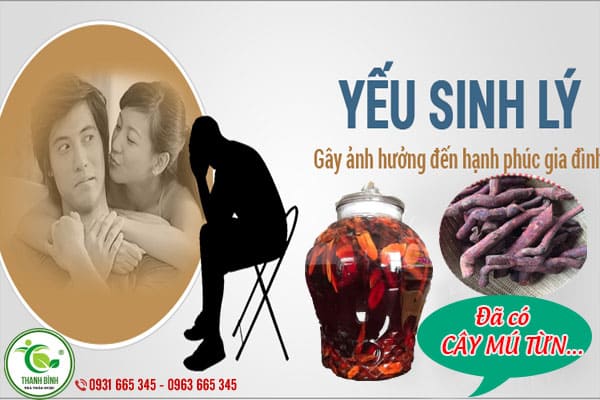 cây mú từn thảo dược thanh bình