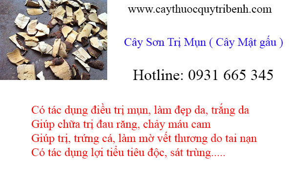 mua-cay-son-tri-mun-uy-tin-chat-luong-tai-tp-hcm