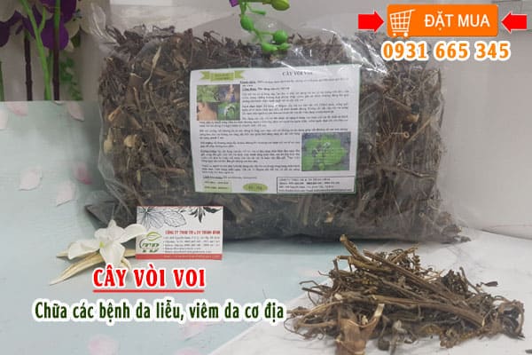 cây vòi voi Thảo Dược Thanh Bình