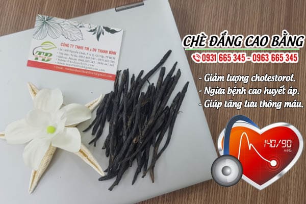 chè đắng cao bằng Thảo Dược Thanh Bình