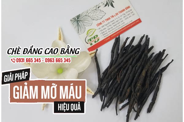 chè đắng cao bằng Thảo Dược Thanh Bình