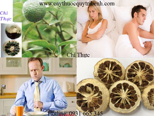 mua-chi-thuc-o-dau-tai-tp-hcm