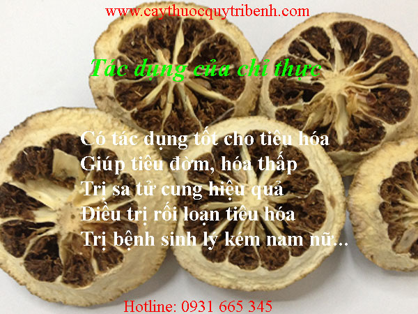 mua-chi-thuc-o-dau-tai-tp-hcm-uy-tin-nhat