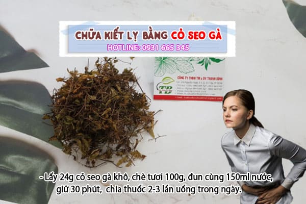 cỏ seo gà Thảo Dược Thanh Bình