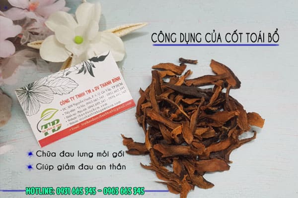 cốt toái bổ thảo dược thanh bình