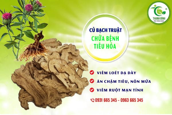 củ bạch truật thảo dược thanh bình