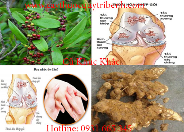 củ khúc khắc