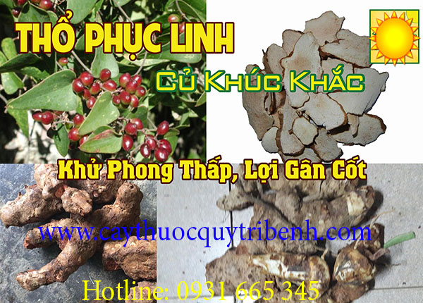 củ khúc khắc